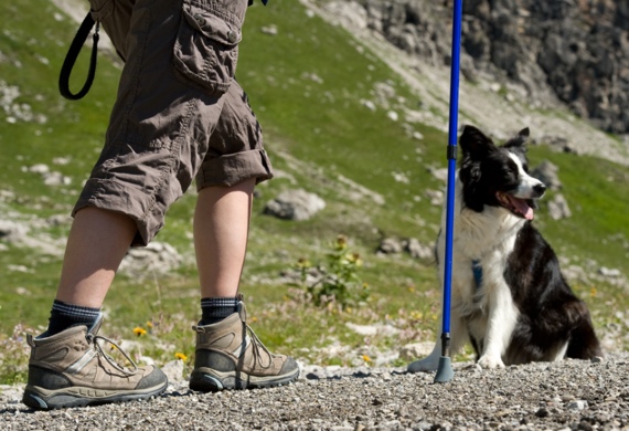 Go on Hiking trail with your Dog