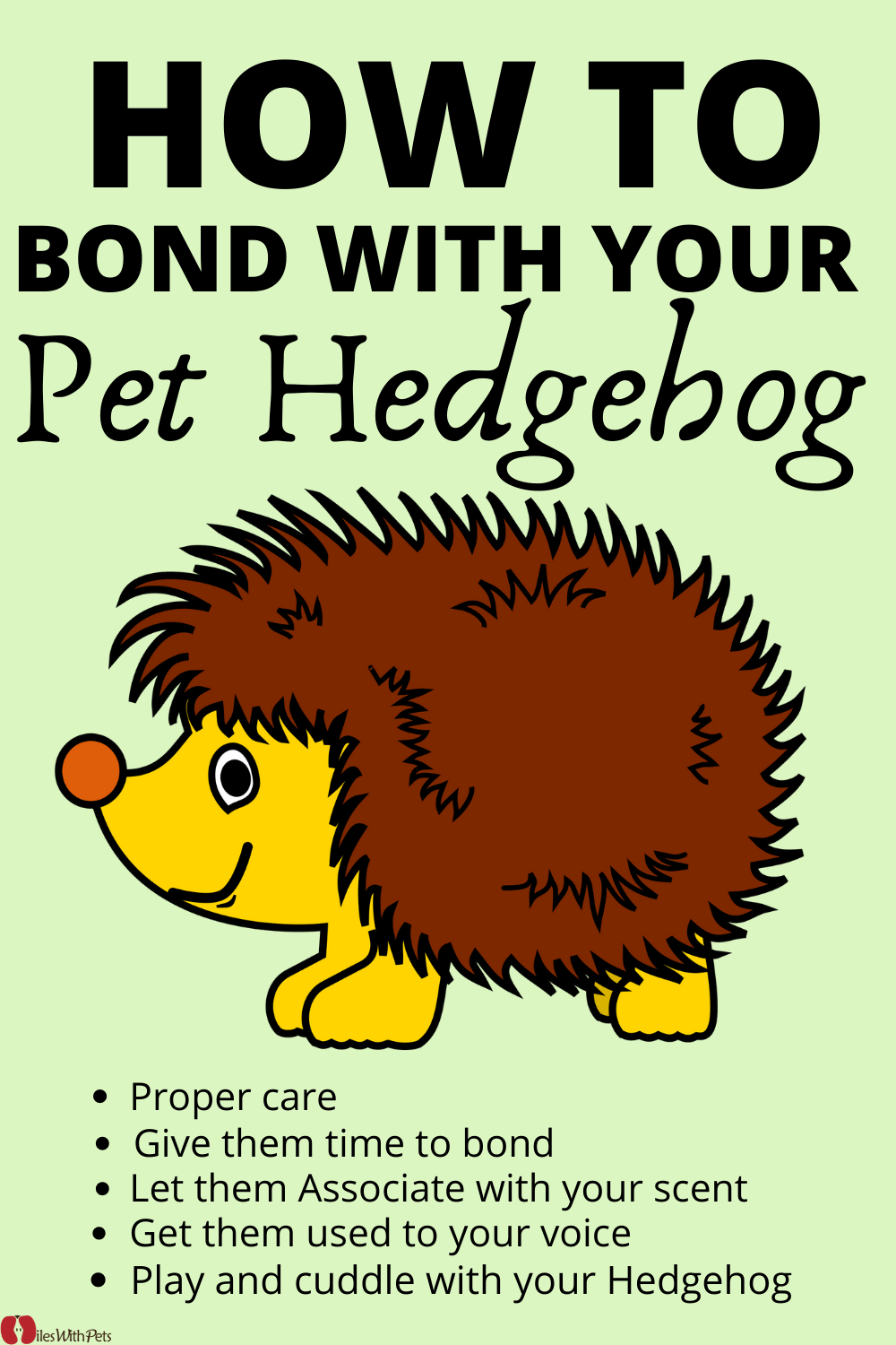 How to Bond With Your Hedgehog