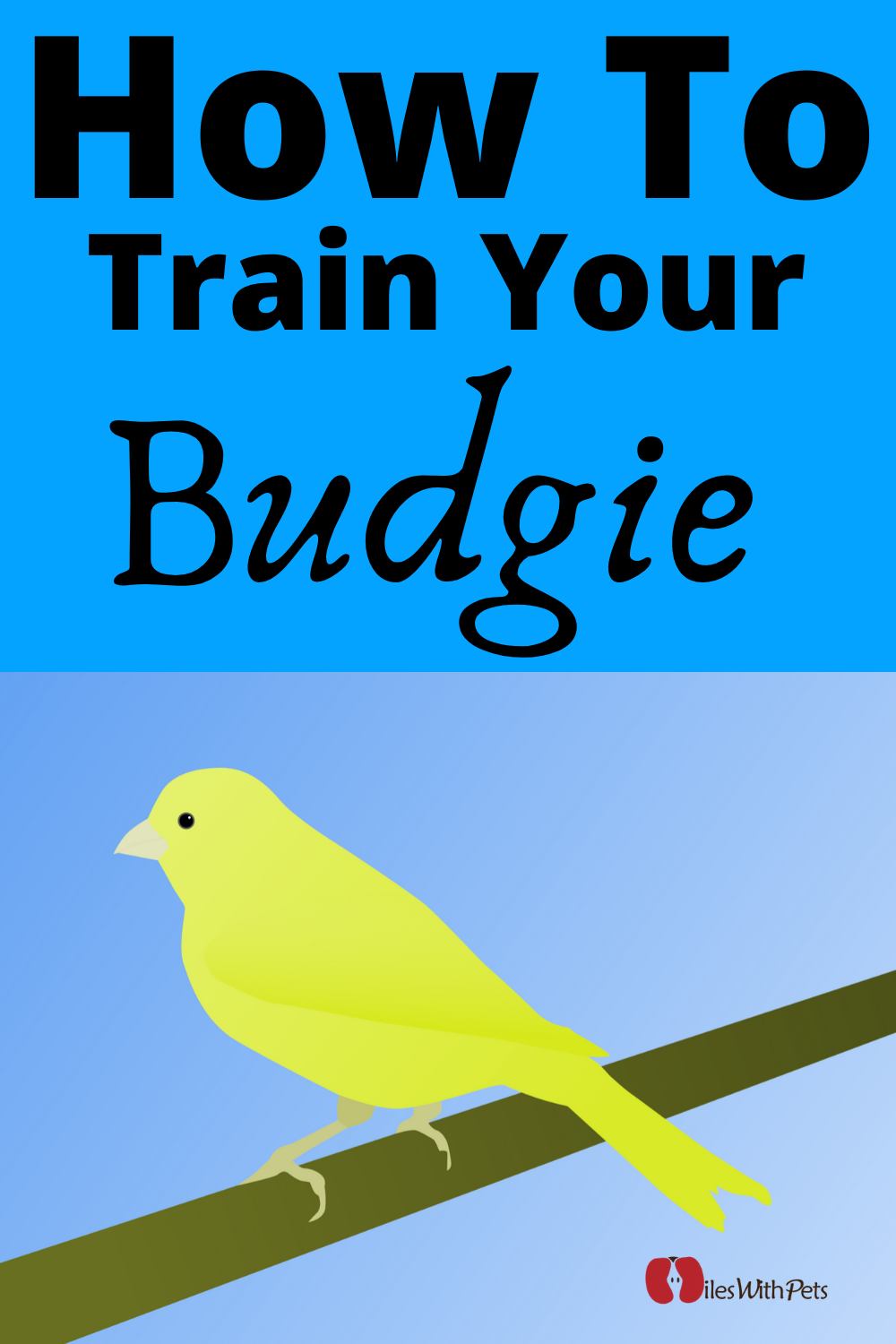 how to train your Budgies