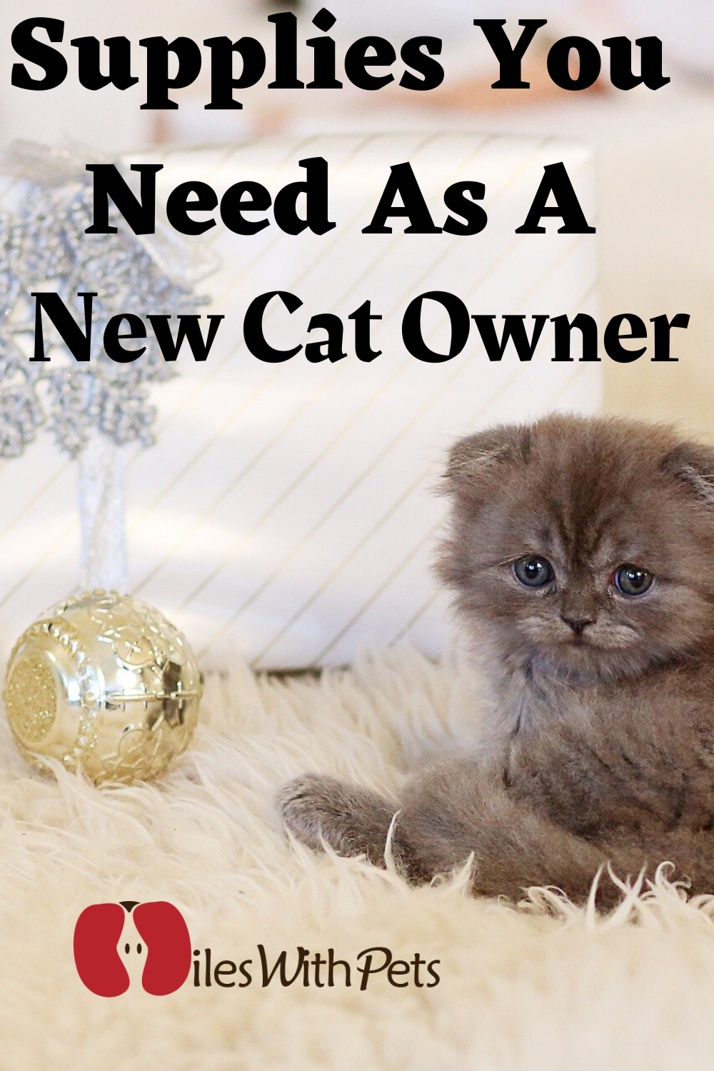 New Cat Checklist