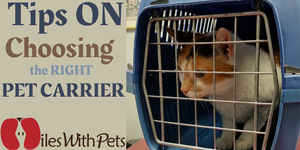right pet carrier
