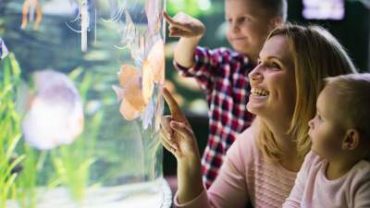 family touching the aquarium screen