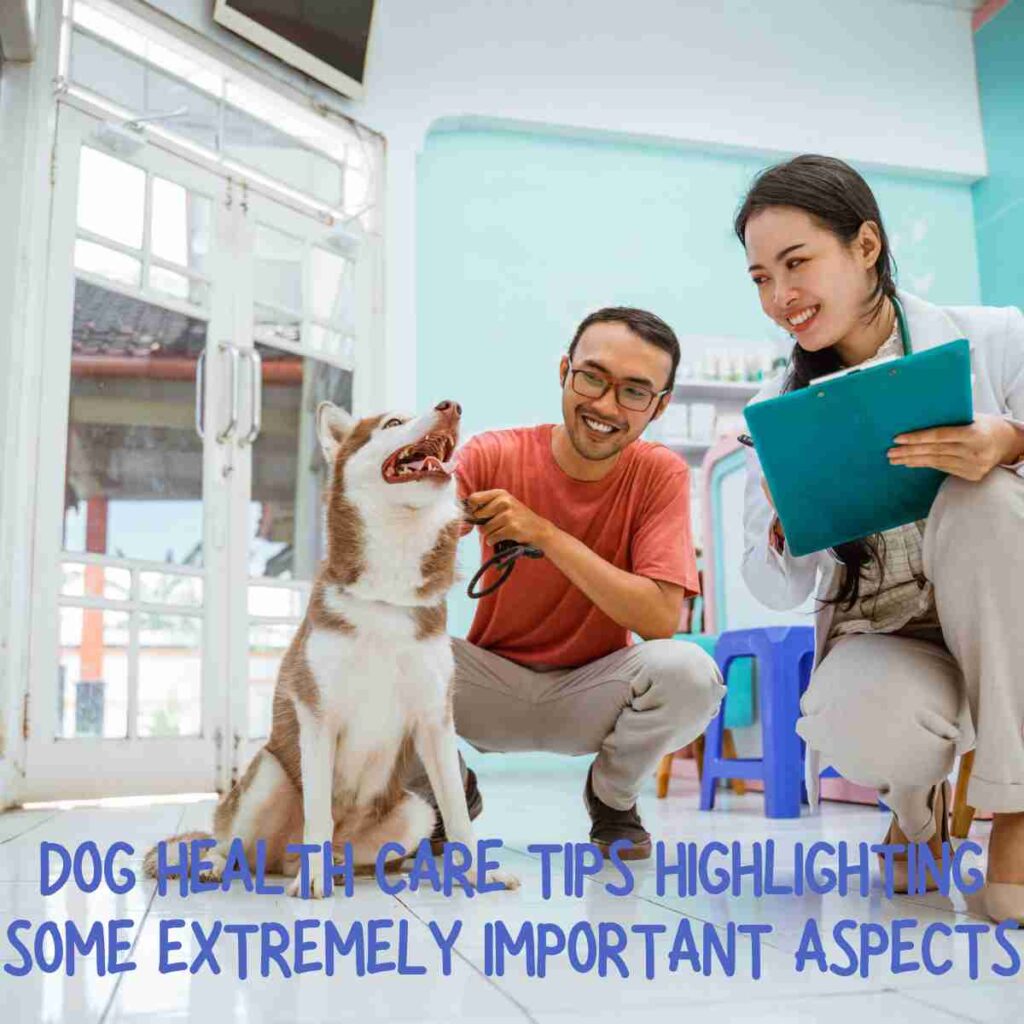 Dog Health Care Tips
